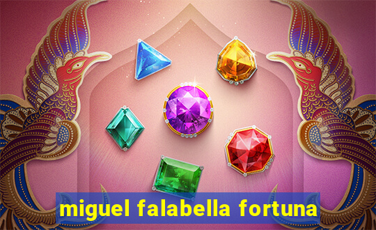 miguel falabella fortuna